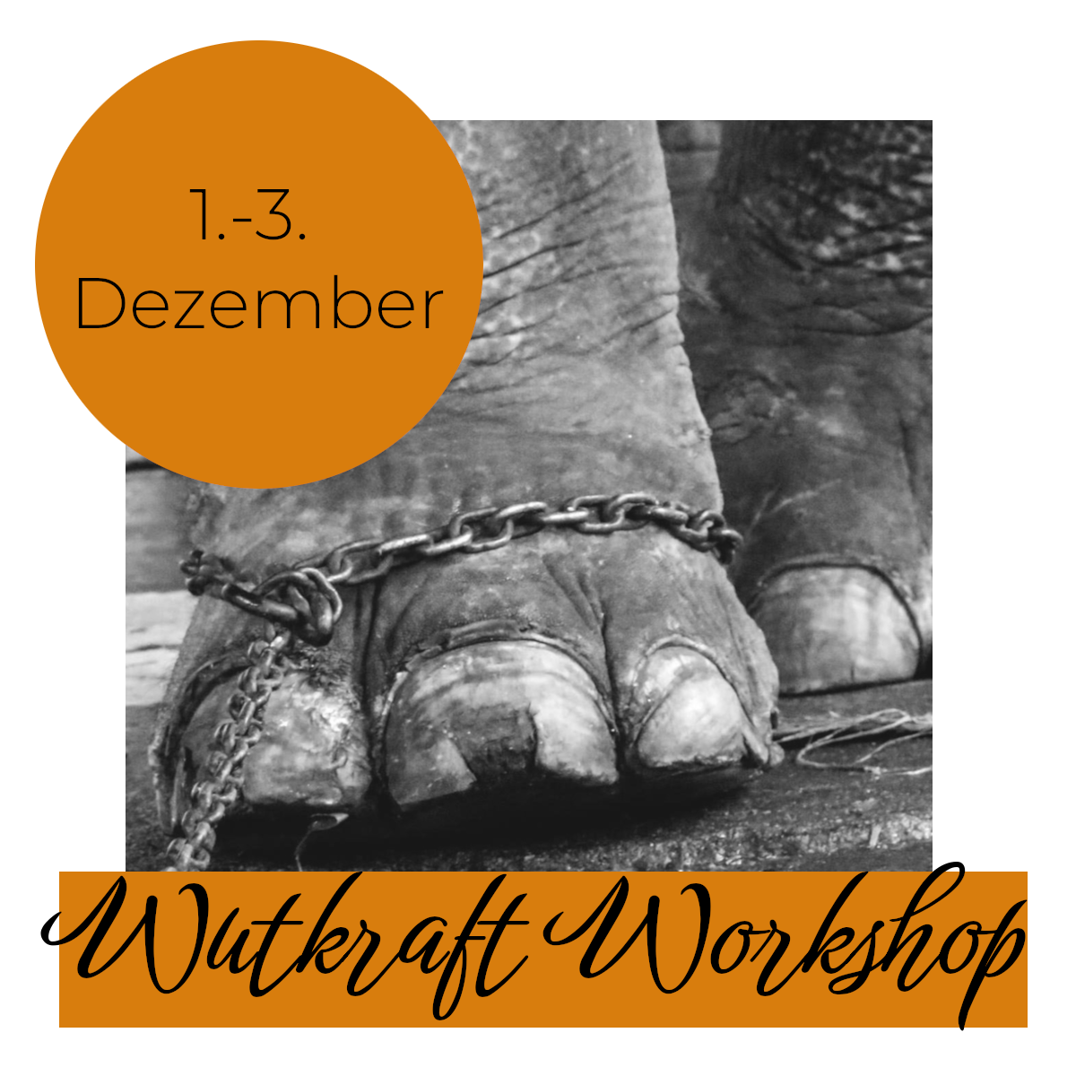 Wutkraft-Workshop 1.-3. Dezember 2023