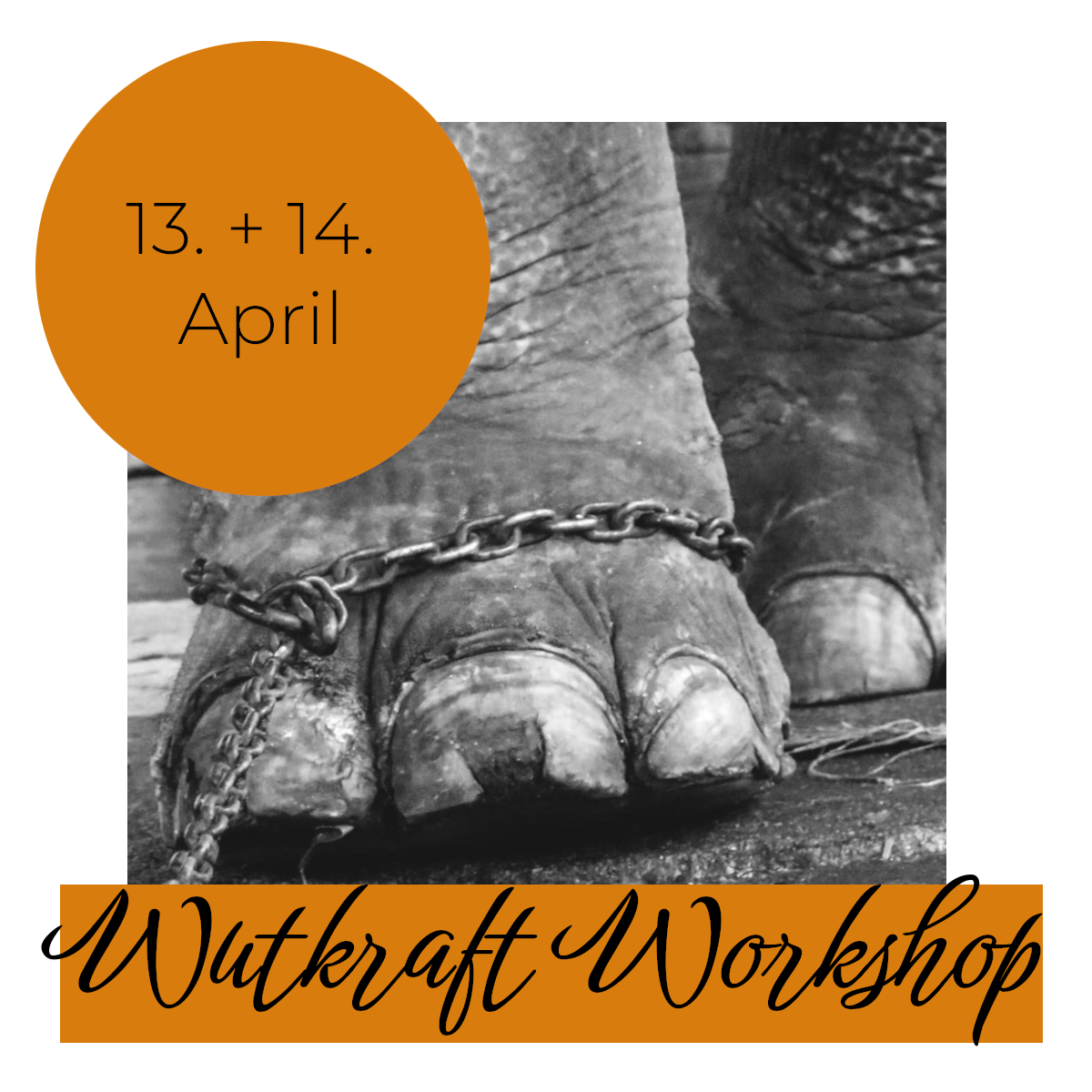 Wutkraft-Workshop Frauen 13.+14. April 2024
